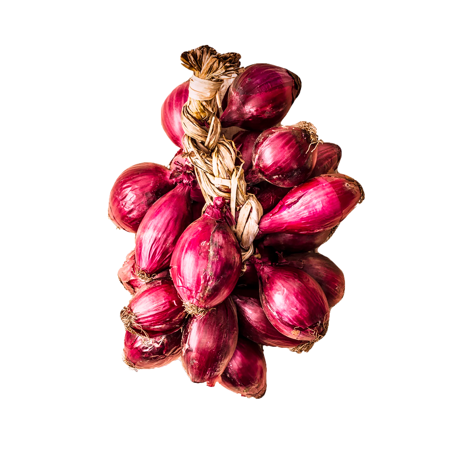 Cipolla rossa di Tropea treccia