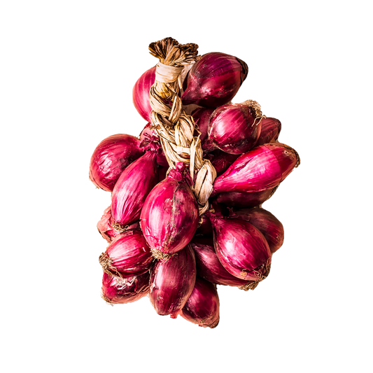 Cipolla rossa di Tropea treccia