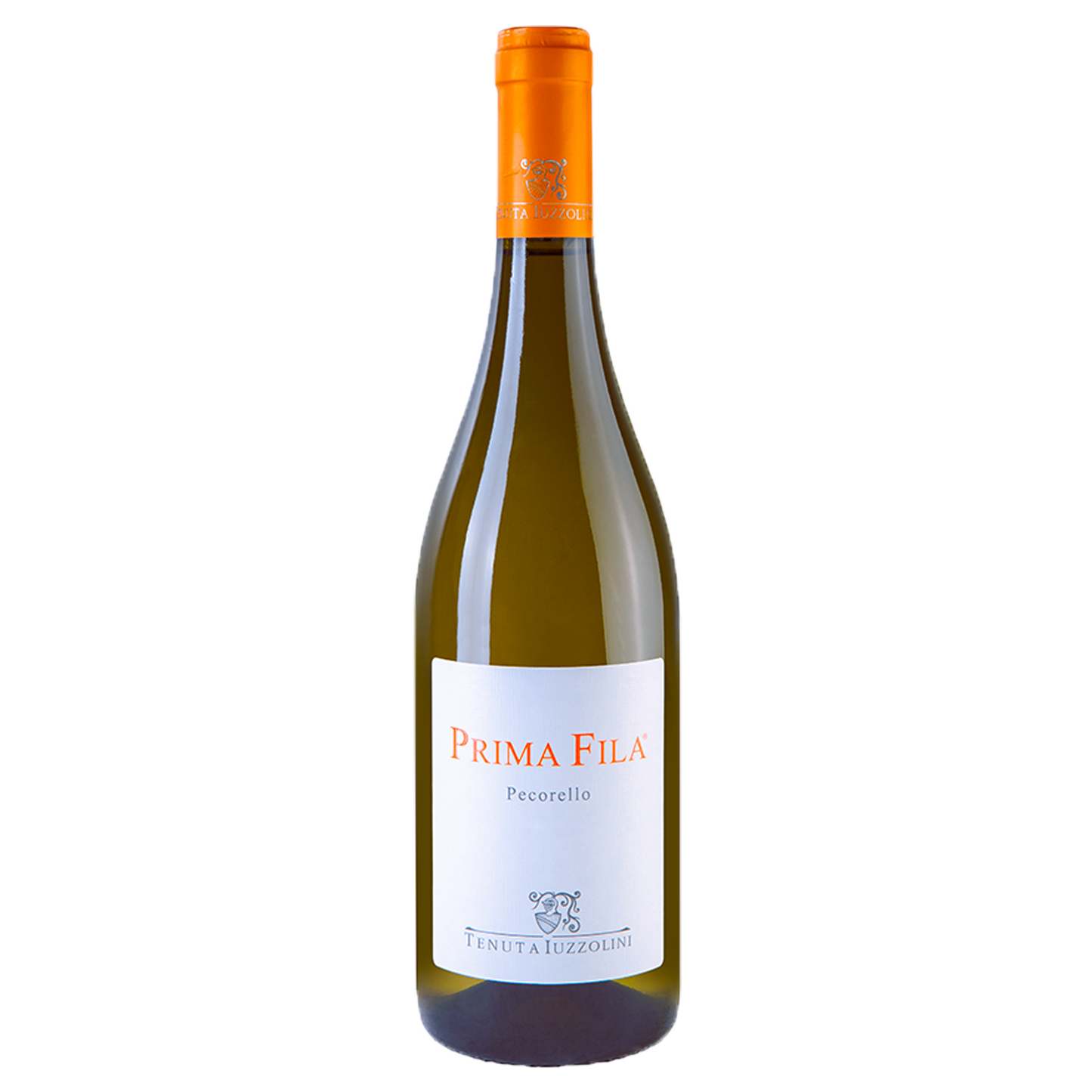 Front row - Tenuta Iuzzolini